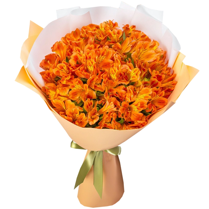 25 оранжевых альстромерий